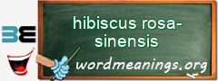 WordMeaning blackboard for hibiscus rosa-sinensis